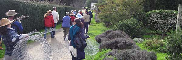 Arbor Day at Green Gulch Farm